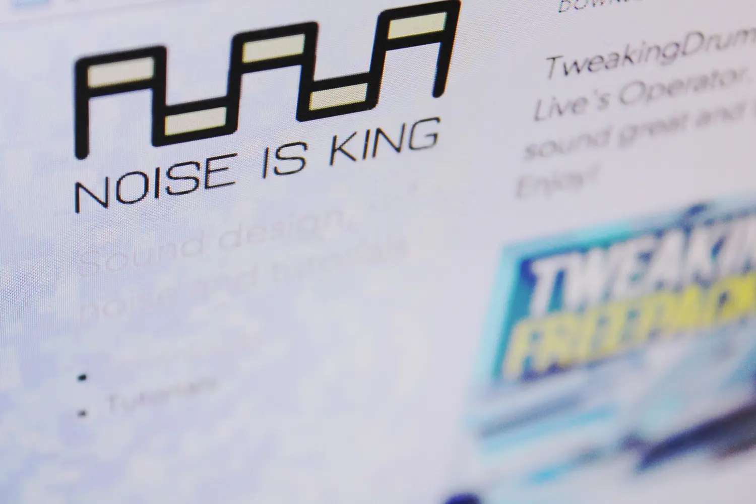 Noise is King - Visual Identity & Logo Design 3